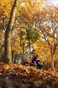 Man sitting on tree trunk during autumn