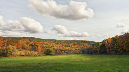 Scenic view of landscape against sky during autumn