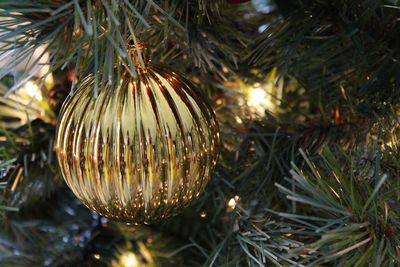 Close-up of christmas tree at night