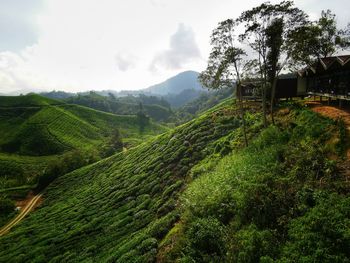 Scenic view of landscape against sky
