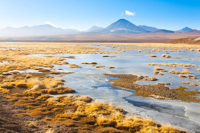 Scenic view of desert against sky