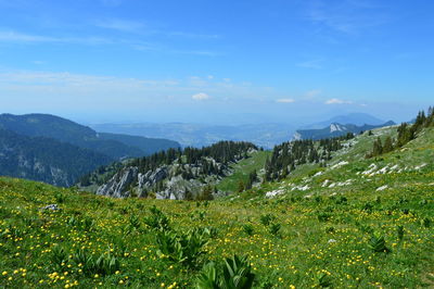 Scenic view of landscape against sky