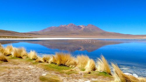 Scenic view of lake and mountains against clear blue sky