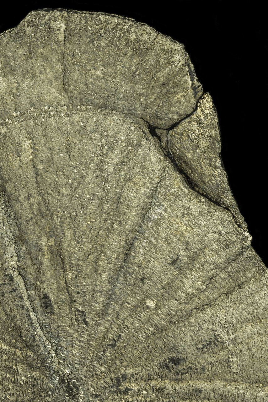 CLOSE-UP OF ROCK IN BLACK BACKGROUND