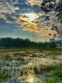 Scenic view of field against sky during sunset