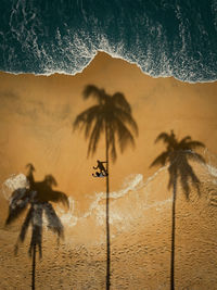 Silhouette of a man climbing a coconut tree by the shore line.