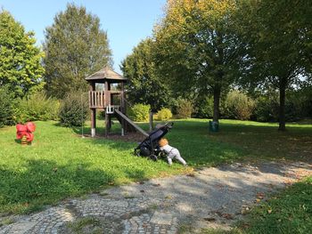 Dog on field against trees