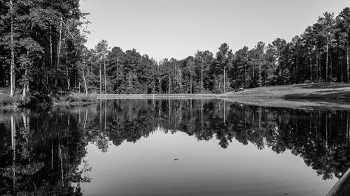 Reflection of trees in lake against sky