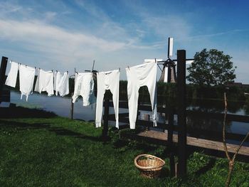 Laundry  in  summer