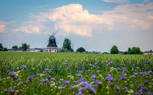 Traditional windmill on field against sky