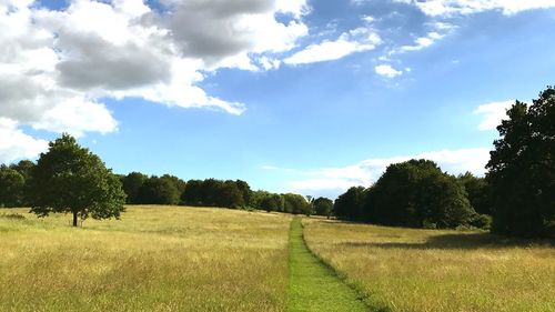 Scenic view of field against sky