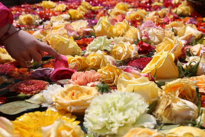 Close-up of flowers