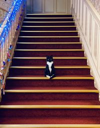 Low angle view of staircase