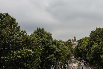 Trees in city against sky