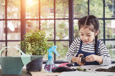 Boy looking through potted plants on table