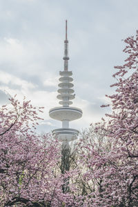 Germany, hamburg, cherry blossoms blooming against heinrich-hertz-tower