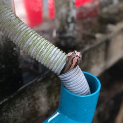 High angle view of snake in pipe