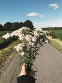 Midsection of person holding flowering plant against sky