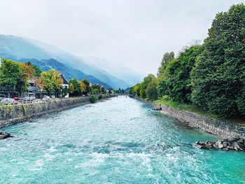 Scenic view of river amidst trees against sky