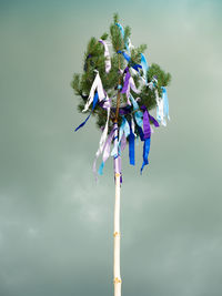 Traditional tall wooden maypole erected with ribbons and small flag- may pole and celebration