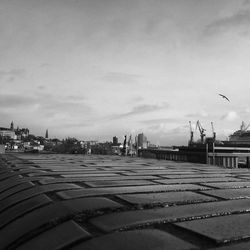 Birds in city against sky