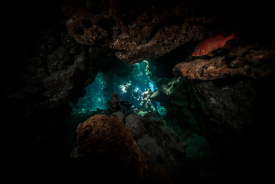 Close-up of man underwater