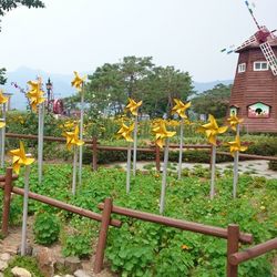 View of plants against the sky