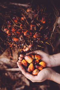 Cropped image of person holding fruits