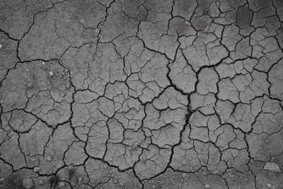 Black and white image of crack soil texture background