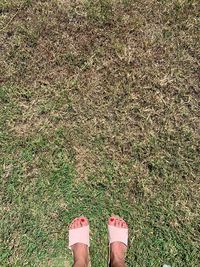 Low section of woman standing on grass