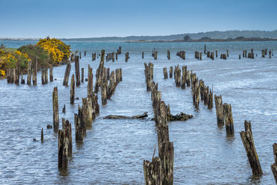 Wooden posts in lake against clear sky