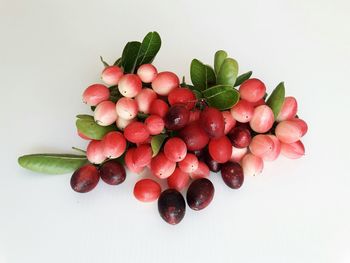 High angle view of cherries against white background