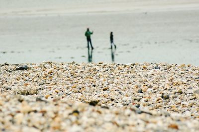 View of pebbles on beach