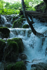 Scenic view of waterfall in forest