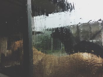 Raindrops on glass window