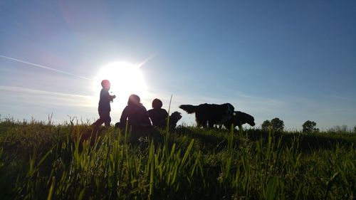 People walking on grassy field