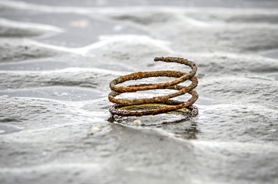 Rusty spiral on a wet beach