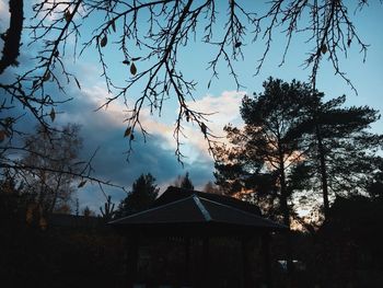 Low angle view of silhouette tree and building against sky