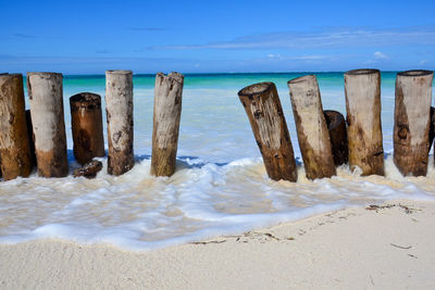 Wooden posts on beach against sky