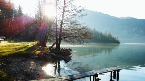 Scenic view of lake by trees against sky