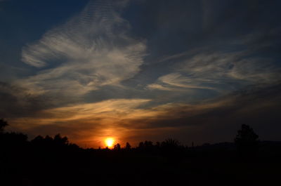 Scenic view of silhouette trees against sky during sunset