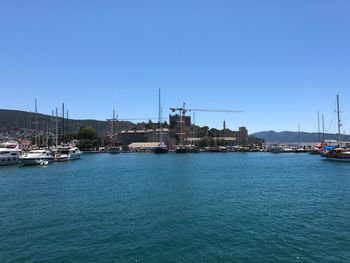 Sailboats in marina at harbor against clear blue sky