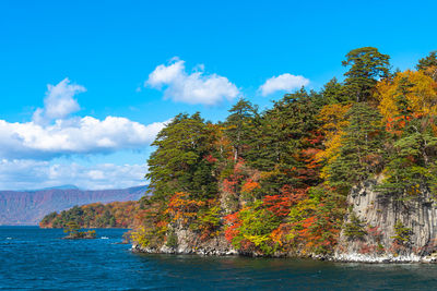 Trees by sea against sky during autumn