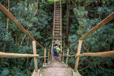 Man walking on footbridge in forest