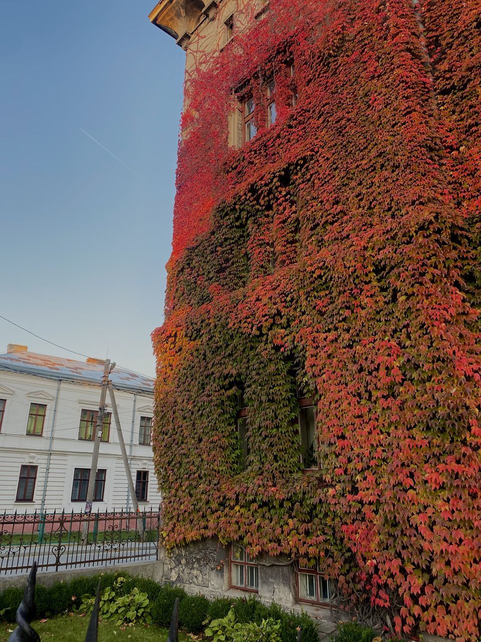 architecture, building exterior, built structure, building, nature, autumn, plant, house, sky, red, tree, no people, day, flower, outdoors, city, residential district, wall, leaf, ivy, history, low angle view, travel destinations, the past, urban area, travel, clear sky