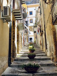 Narrow alley amidst houses