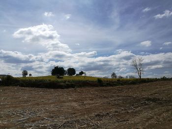 Scenic view of trees against sky