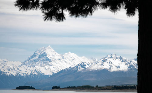 Mountain mount cook covered with snow framed by tree silhouette, mt cook national park, new zealand