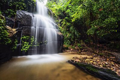 Waterfall in forest