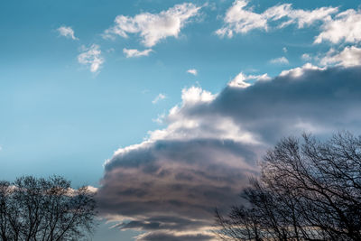 Low angle view of silhouette tree against sky